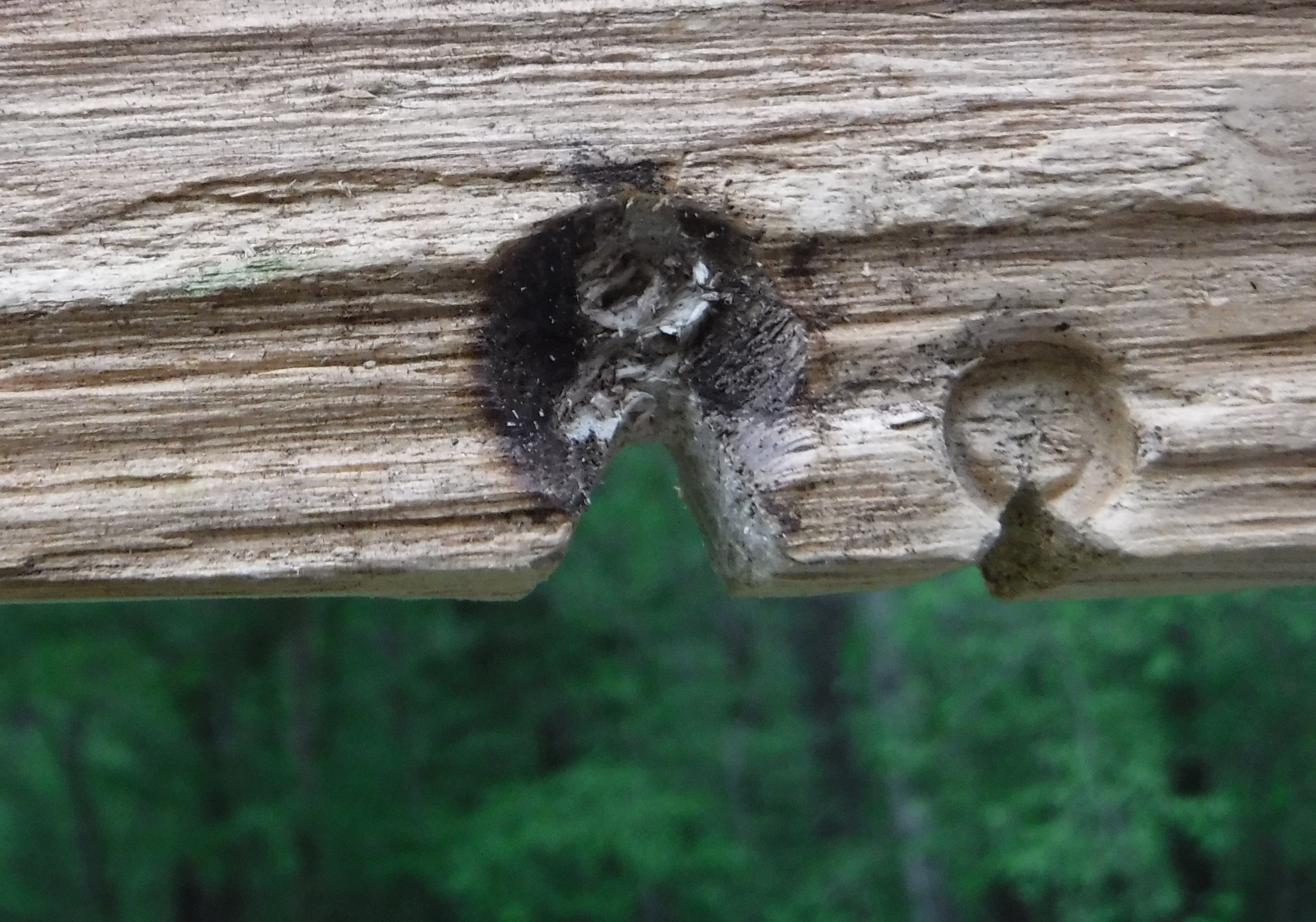 The Friction of Fire and Silence